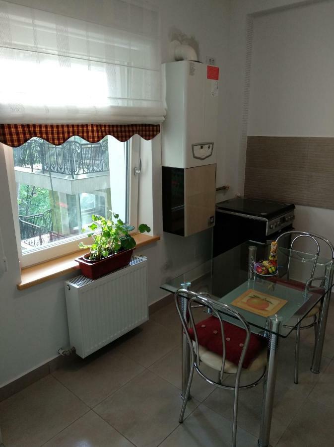 Apartamento Apartament Ramona Braşov Exterior foto