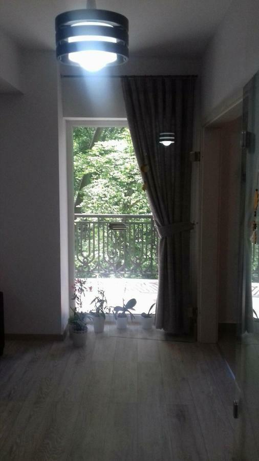 Apartamento Apartament Ramona Braşov Exterior foto